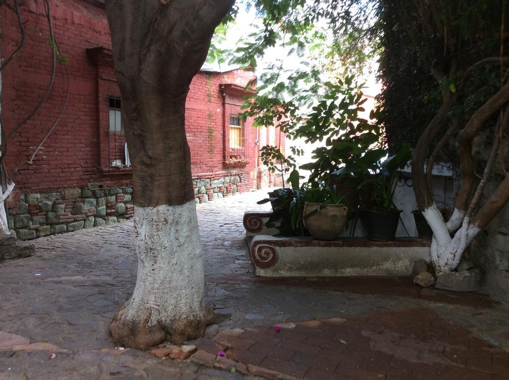 Casa Mixteca Santo Domingo Oaxaca 빌라 외부 사진